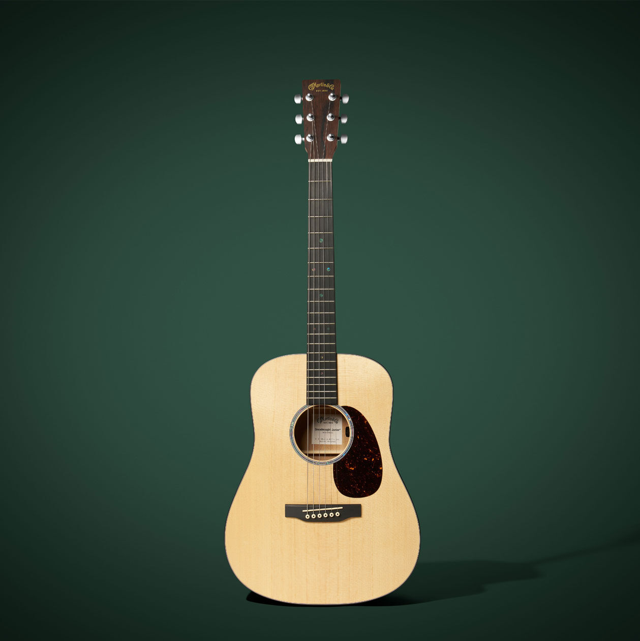 The D Jr E acoustic guitar