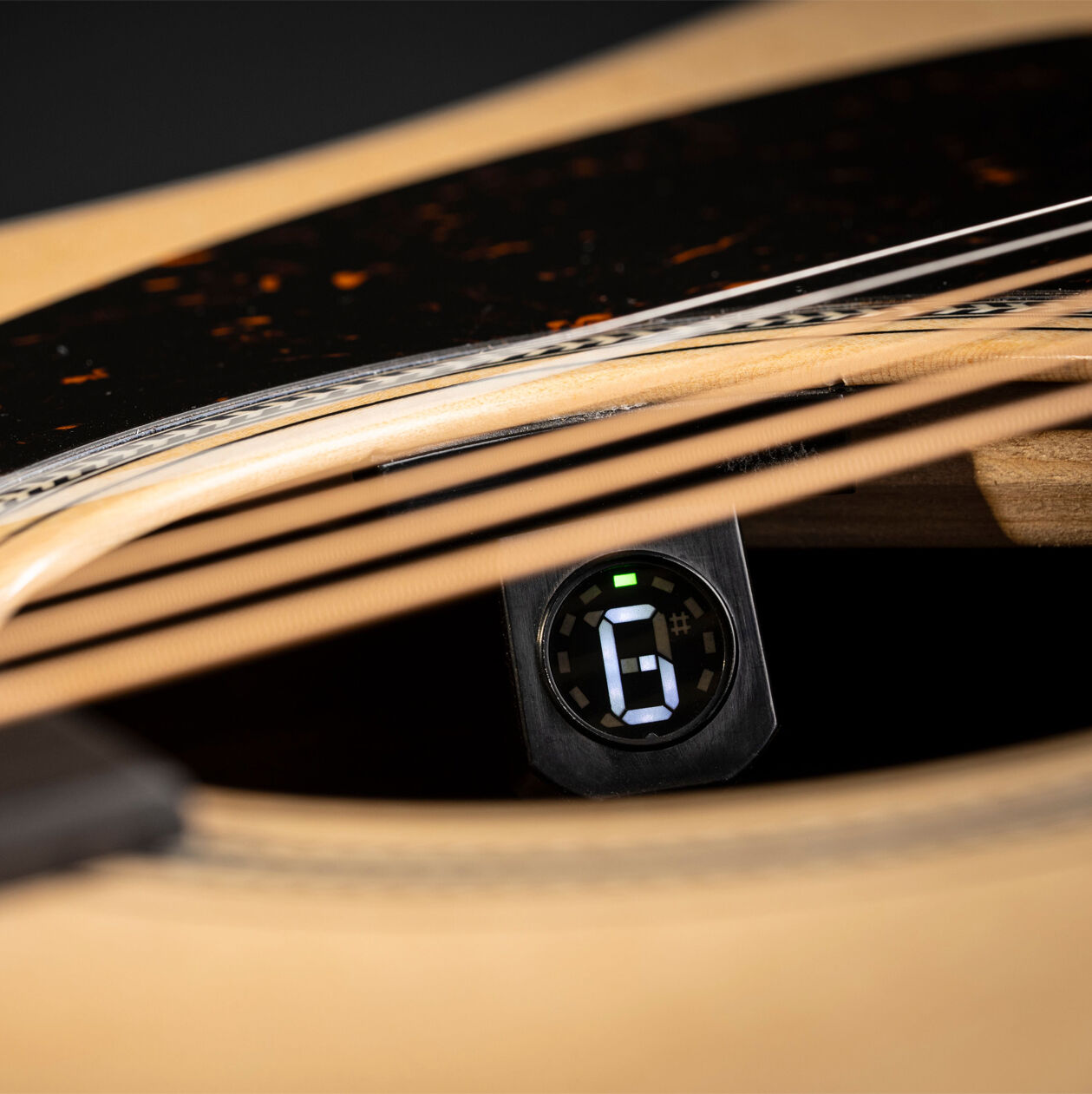 View into the Martin E1 electronics system on-board tuner