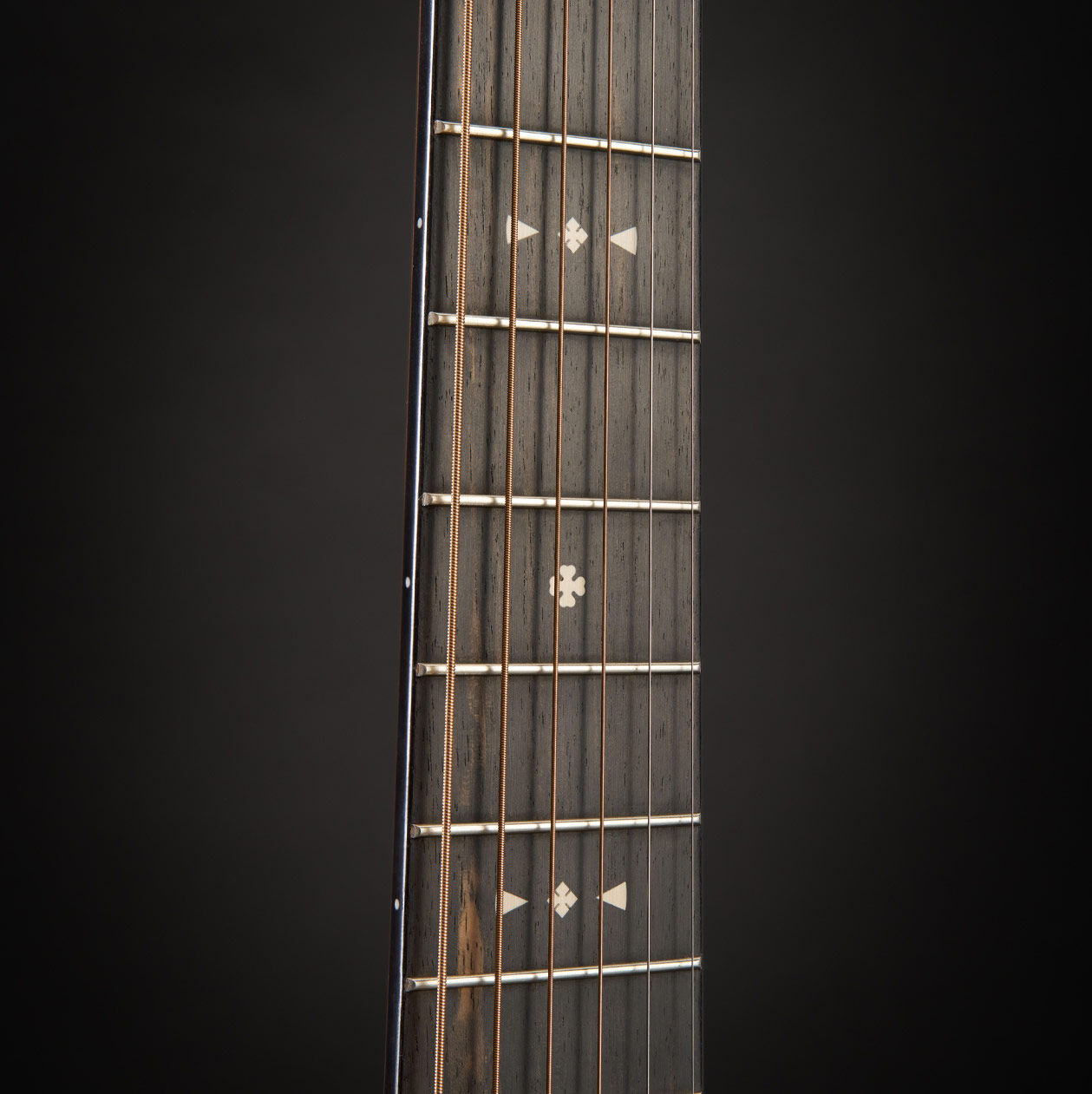 Glam photo of the Jeff Tweedy signature model