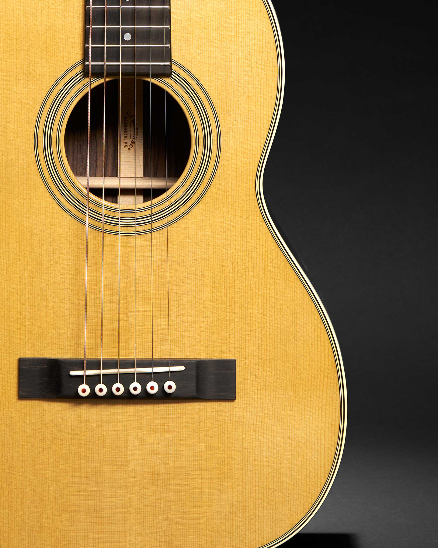 Glam shot of the front of a Terz guitar, focusing on the body