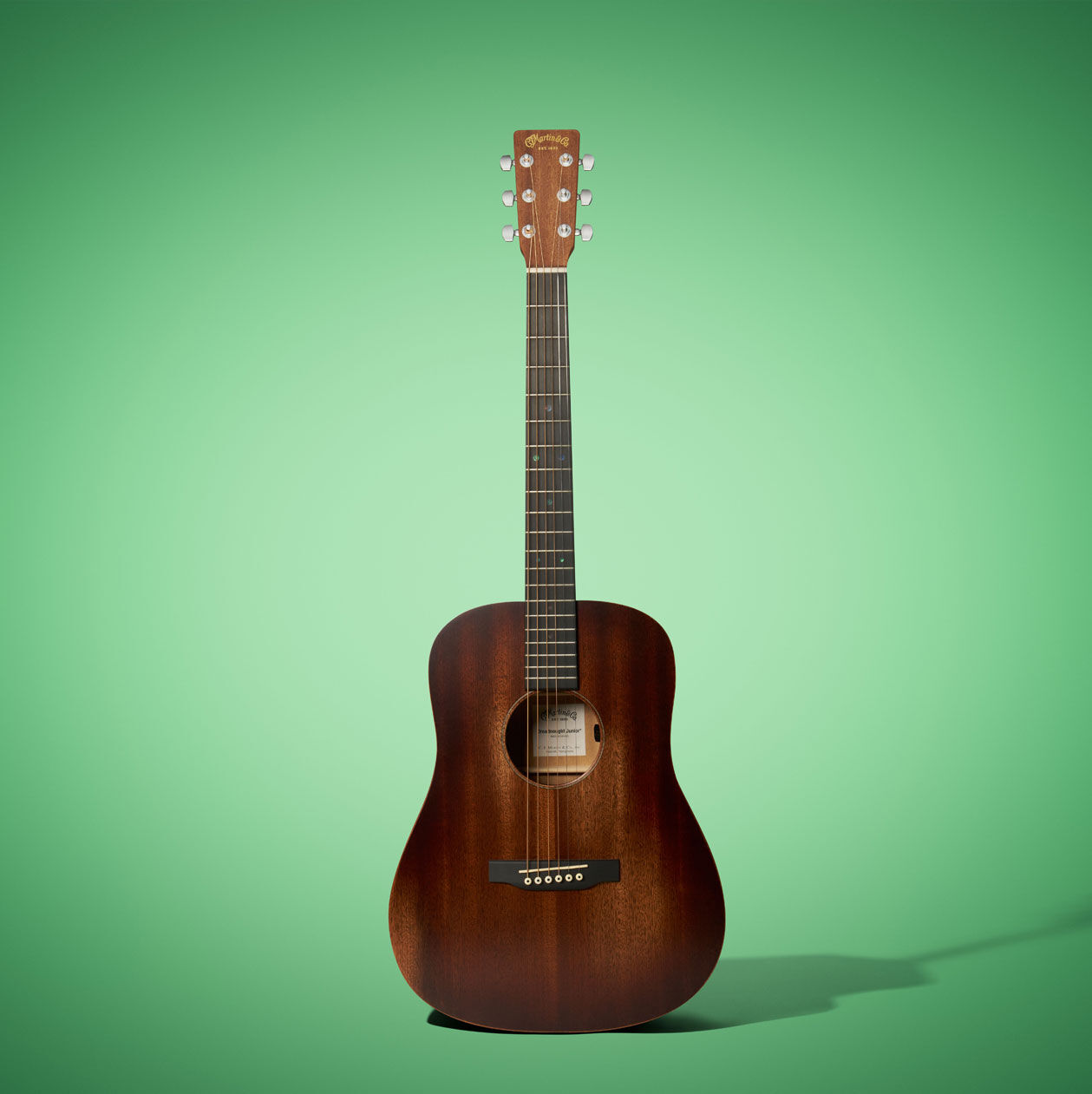 The Martin D Jr E StreetMaster