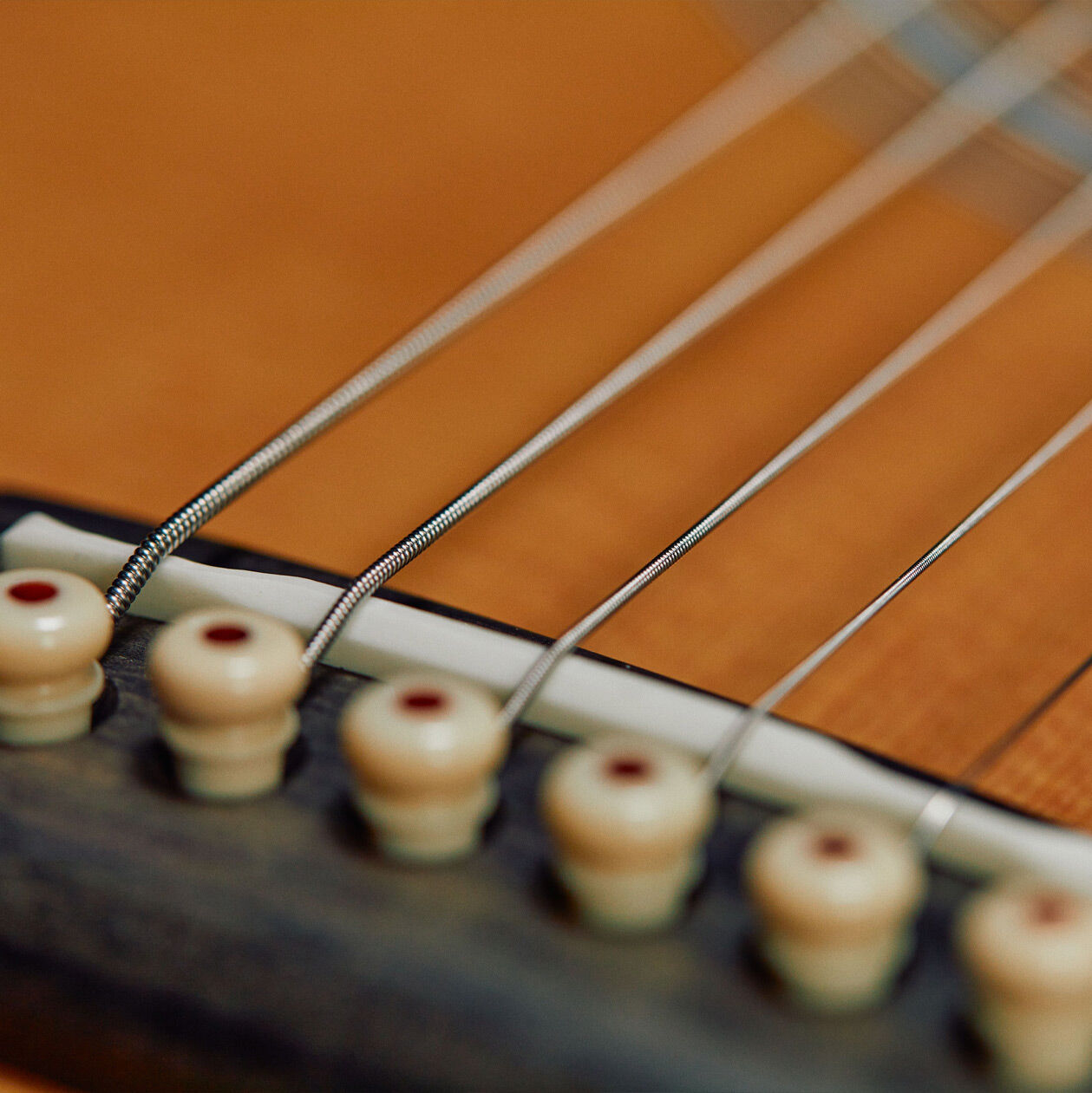 Closeup picture of the bridge pins on an acoustic guitar