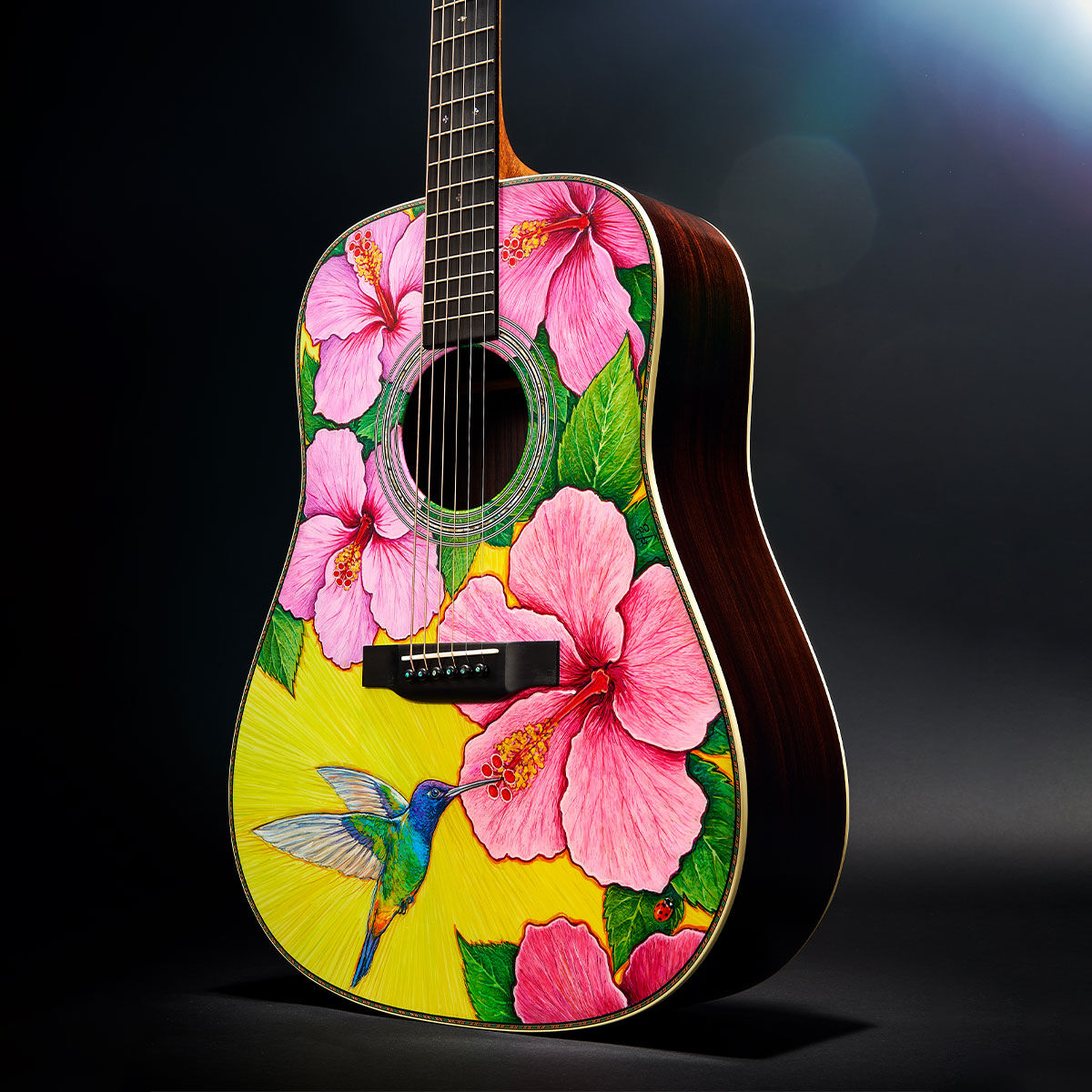 The Martin D-Robert Goetzl 10 acoustic guitar with pink flowers and a hummingbird on a black background
