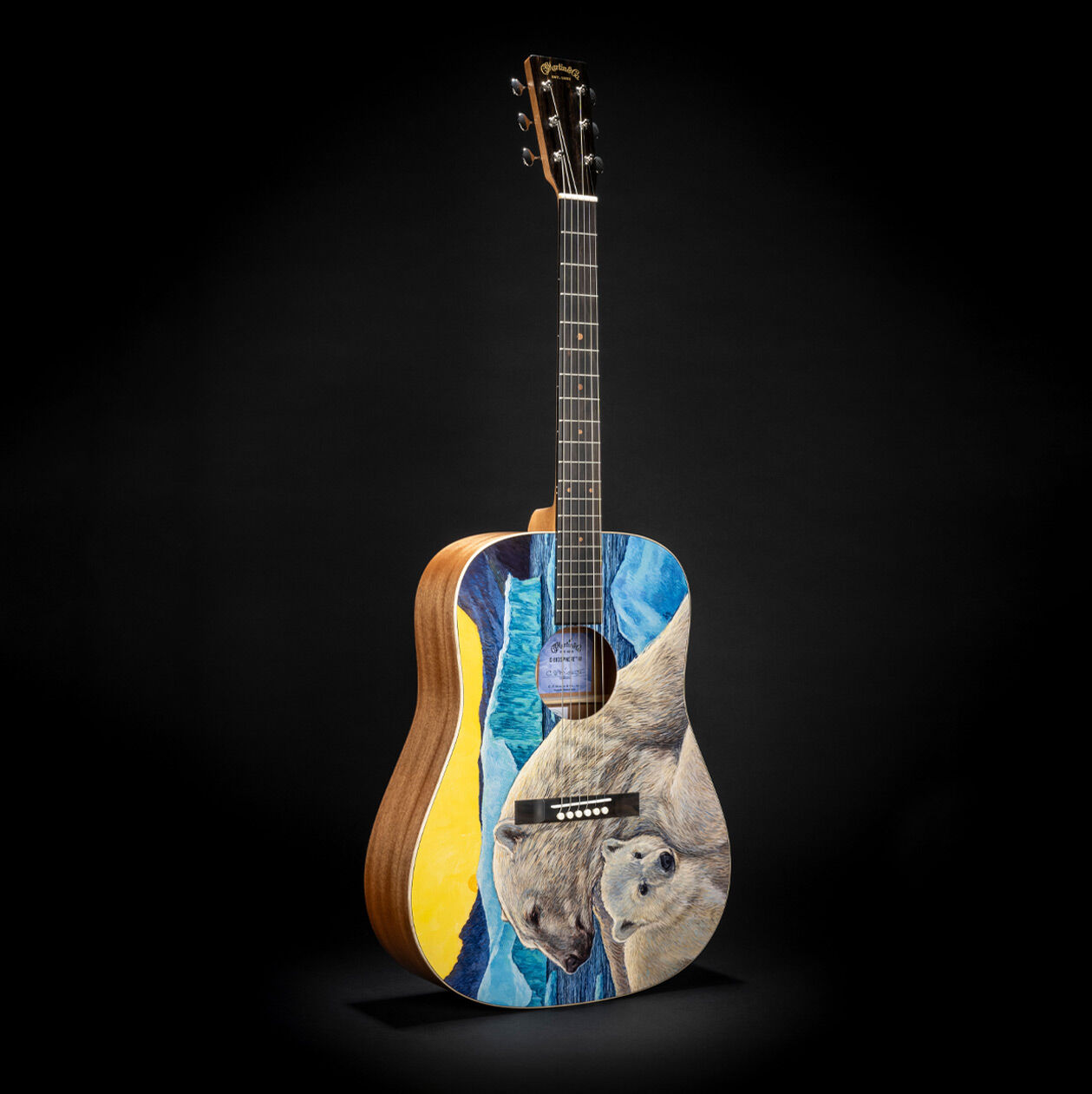 The D-Biosphere III featuring an image of polar bears on the guitar
