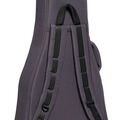 Back of the guitar case for a Martin guitar image number 7