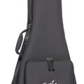 Front of Martin Softshell Case image number 5