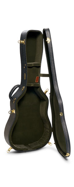 Open guitar case for a Martin guitar image number 5