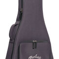 Front of the guitar case for a Martin guitar image number 5
