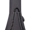 Back of the guitar case for a Martin guitar image number 6