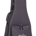 Front of the guitar case for a Martin guitar image number 6