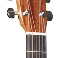 000E Black Walnut Ambertone image number 3