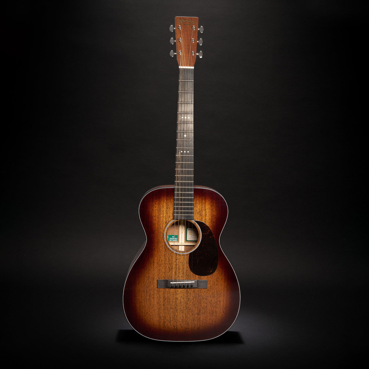 Glam photo of the Jeff Tweedy signature model