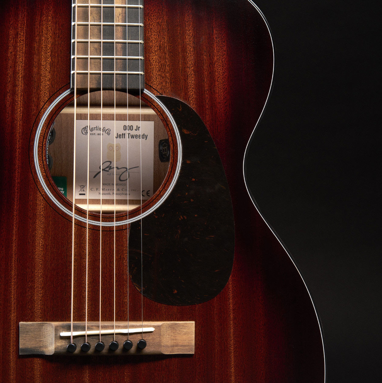 Glam photo of the Jeff Tweedy signature model