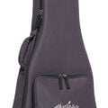 Front of a Softshell Case for a Martin Guitar image number 5