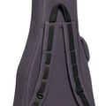 Back of a Softshell Case for a Martin Guitar image number 6