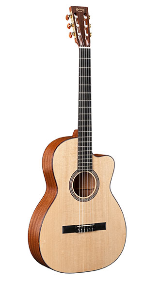 000C Nylon (12-Fret) image number 1