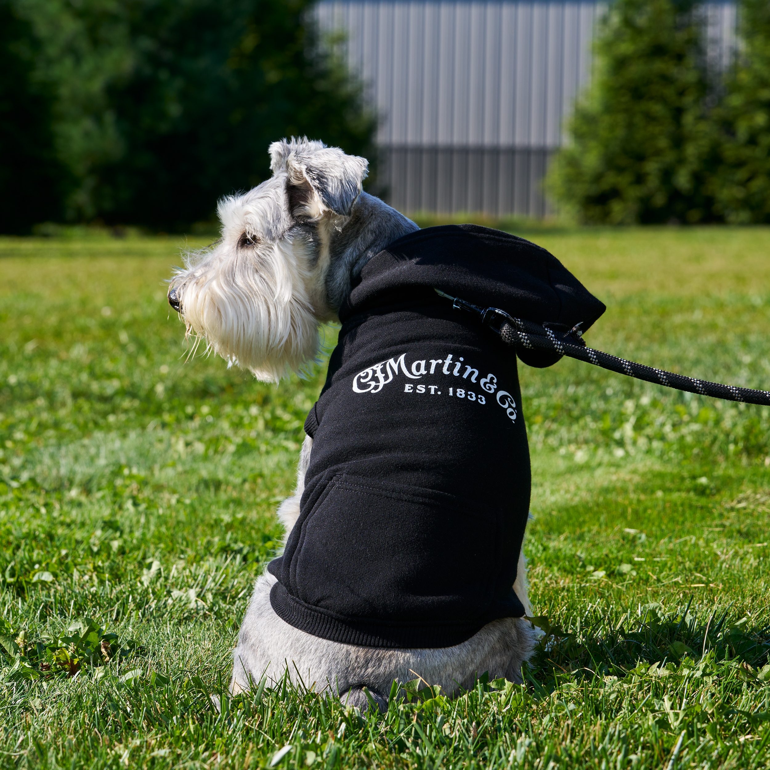 Martin Dog Hoodie image number 1