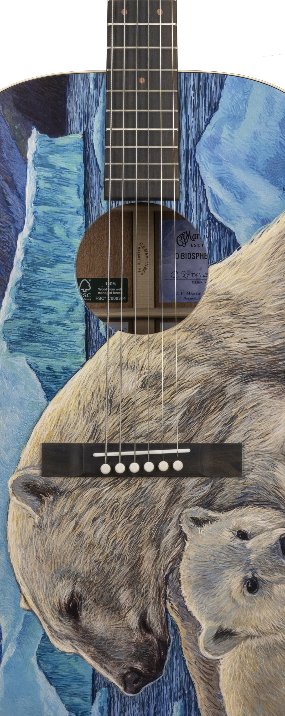 Body of Martin D Biosphere&reg; III Guitar image number 3