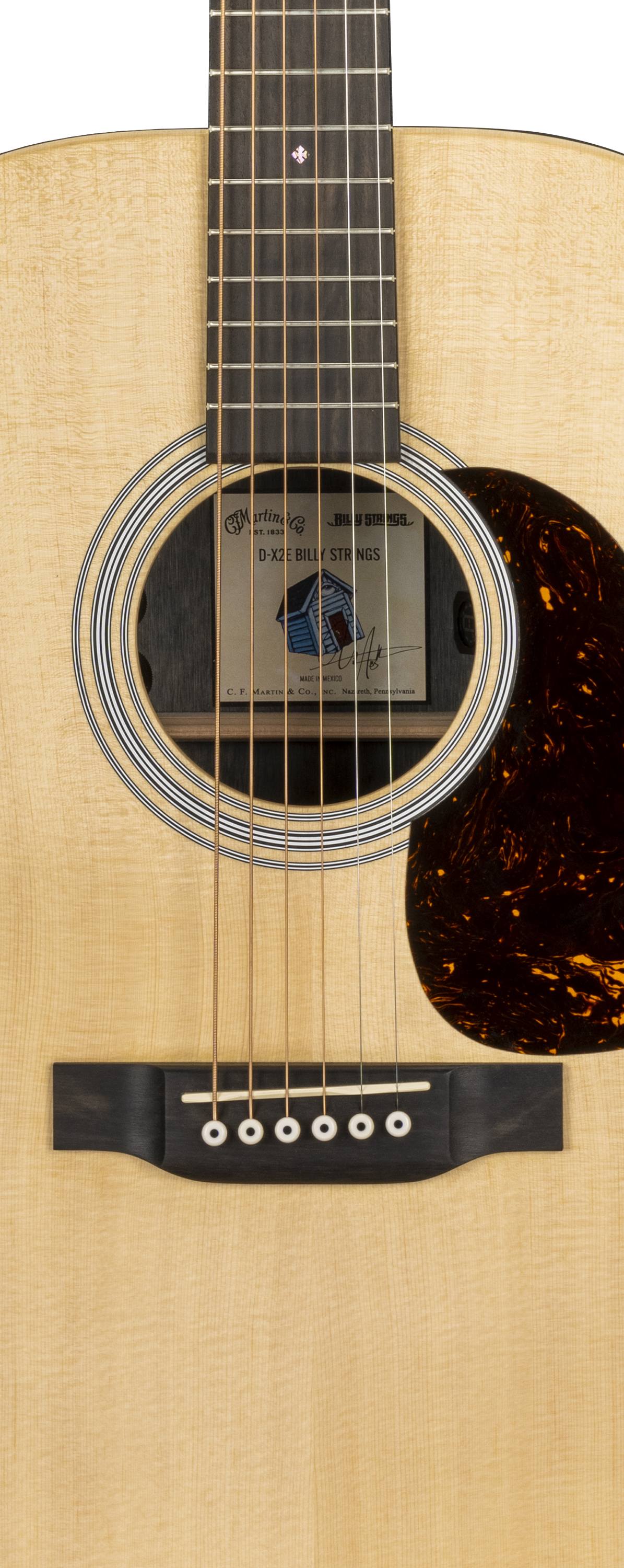 D-X2E Billy Strings image number 3