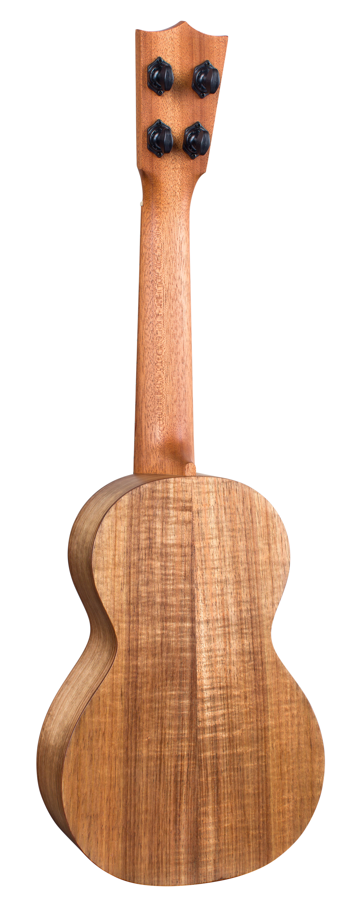 C1 Uke image number 2