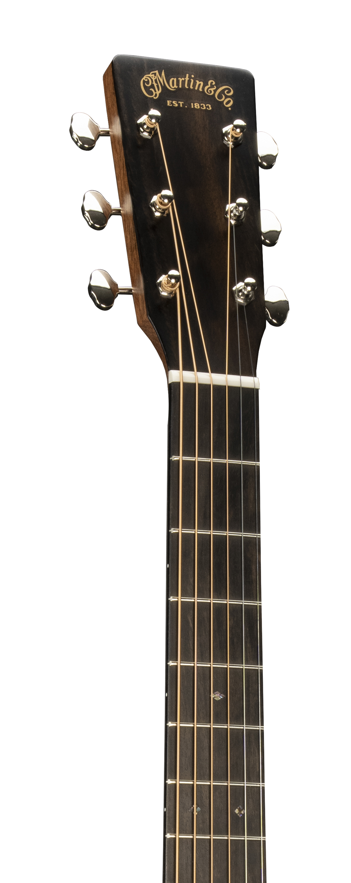 D-X2E Billy Strings image number 4