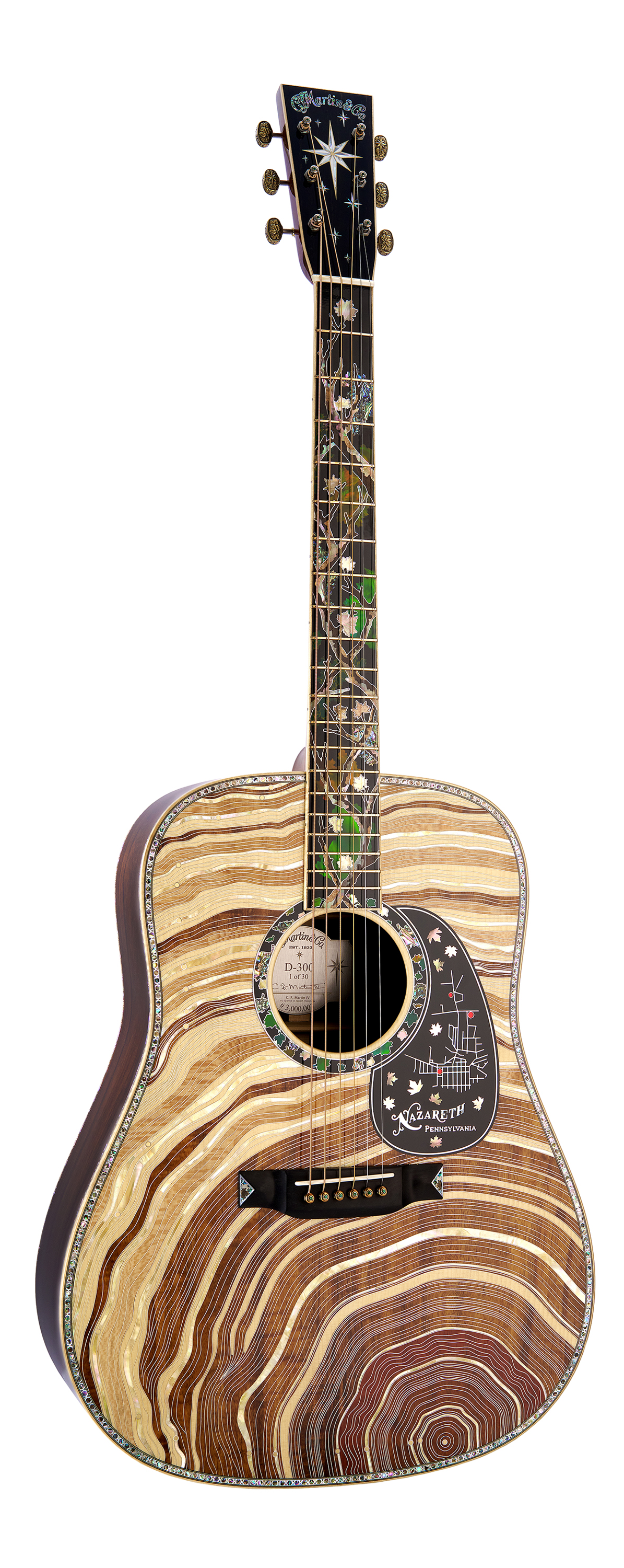 Martin D-300 Guitar image number 1