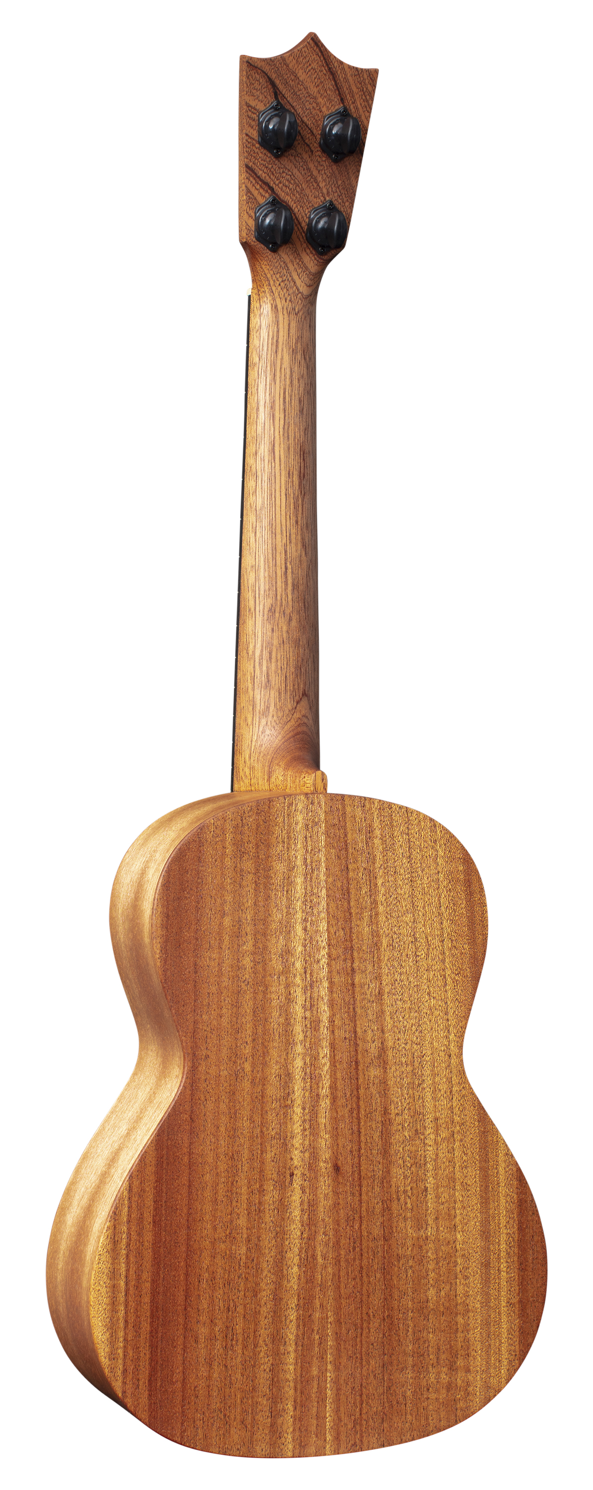 T1 Uke image number 2